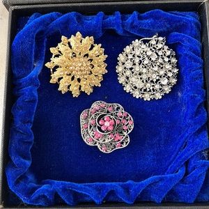 Bundle of 3 Brooches Pins and Ring with Hard Box